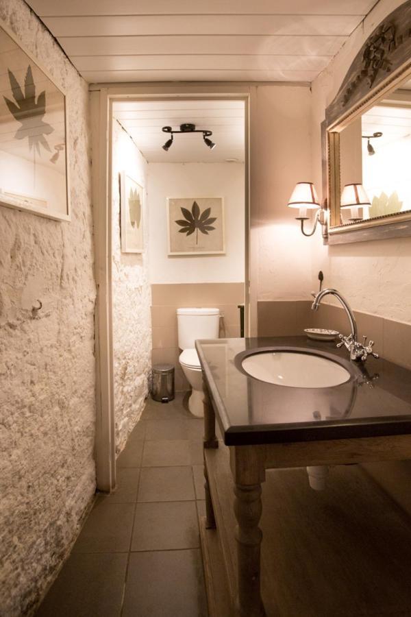 Chateau De Pleneselve Bon-Encontre Ngoại thất bức ảnh