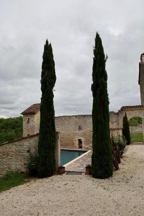Chateau De Pleneselve Bon-Encontre Ngoại thất bức ảnh