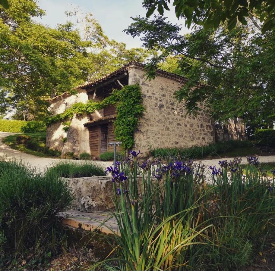 Chateau De Pleneselve Bon-Encontre Ngoại thất bức ảnh