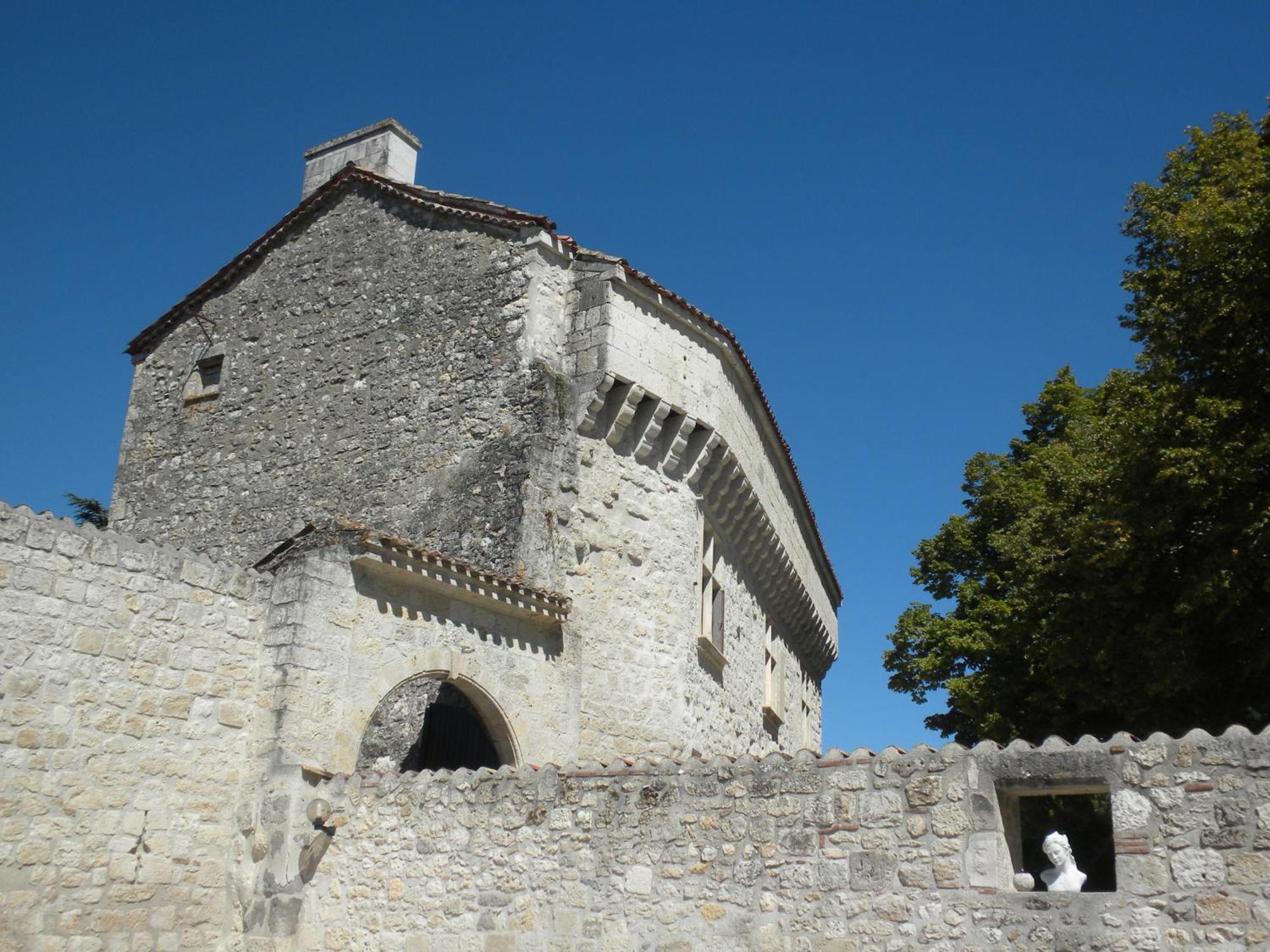 Chateau De Pleneselve Bon-Encontre Ngoại thất bức ảnh